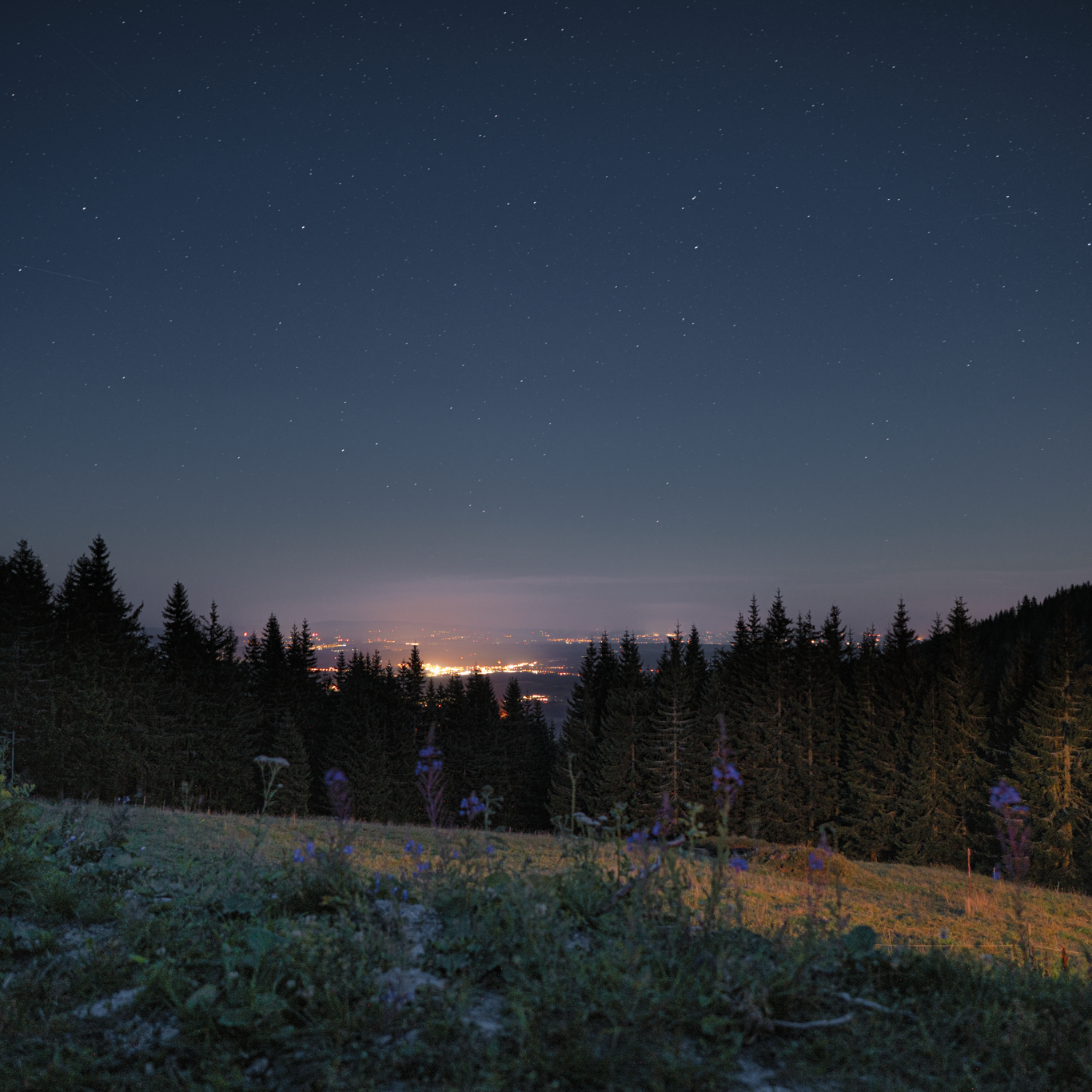 PB_nightview_edit(wr)